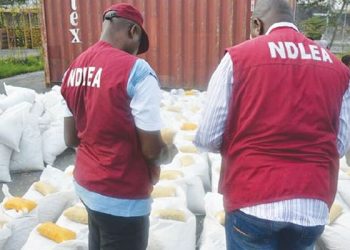 NDLEA nabs Abia drug dealer, seizes 1.217 kilos of drugs