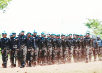 Eight suspected Ogun landgrabbers arrested