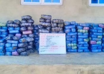 Three jailed five years for trafficking 38.50kg tramadol