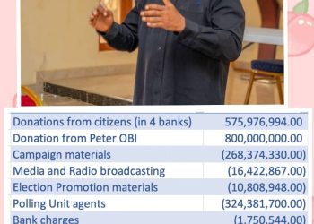 Peter Obi Gives Breakdown Of Campaign Funds, Calls On Foreign Independent Auditors