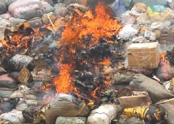 Agency (NDLEA) has destroyed a total of 304,436kg kilograms