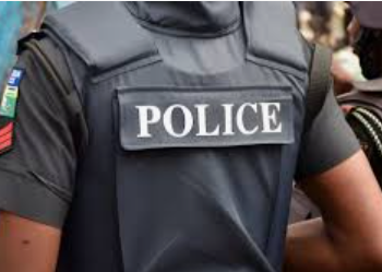 Bauchi Police Apprehend Suspect in Fatal Fratricide Case