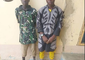 Two Bomb Experts Surrender to Military Forces in Borno State
