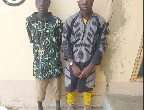 Two Bomb Experts Surrender to Military Forces in Borno State