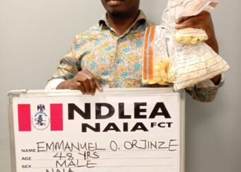 Paris-bound bizman arrested with 111 cocaine wraps