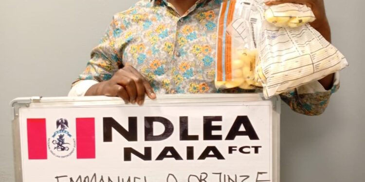 Paris-bound bizman arrested with 111 cocaine wraps