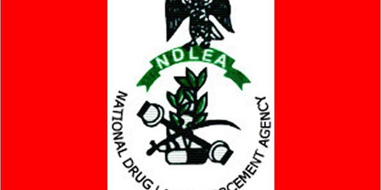Convicted drug baron laundered N400m using illicit trade –NDLEA official