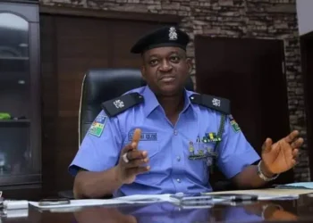 Nigeria Police Report: Over 29,000 Arrested for Various Crimes in One Year