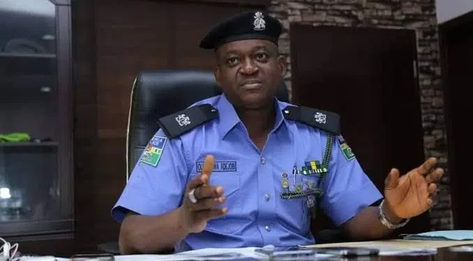 Nigeria Police Report: Over 29,000 Arrested for Various Crimes in One Year
