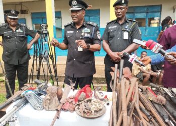 Over 45 suspects arrested and paraded for various crimes-Edo state Police