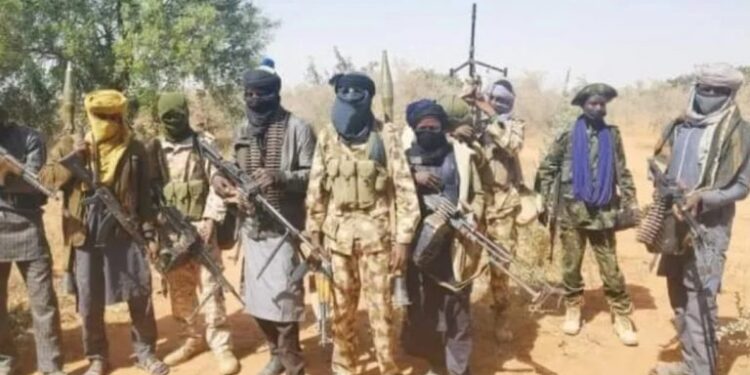 Niger residents fleeing bandits attack drown