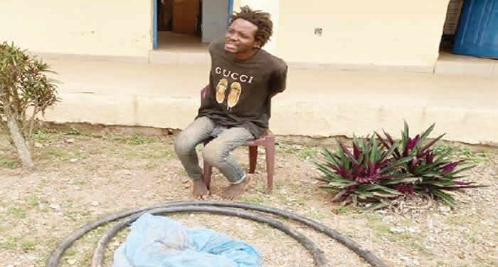 The Osun State Police Command has announced the arrest of two armed robbers operating within the Osogbo