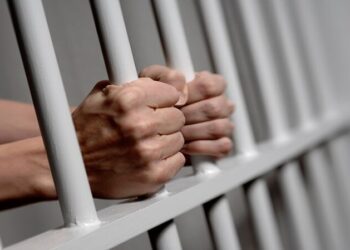 Ex-Osun LG boss, three Beninois, others jailed for felling