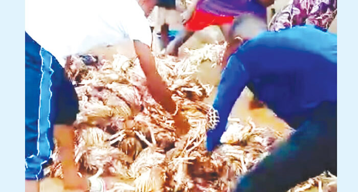 Devastating Flood Sweeps Through Edo State Community, Leaving Residents Counting Their Losses