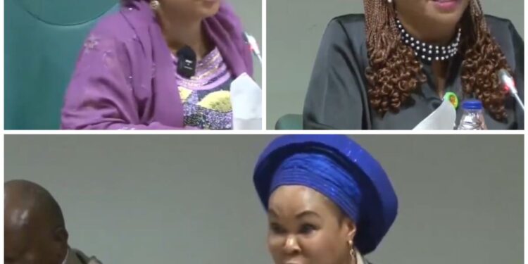 Reps query Minister of Women affairs over diverted funds