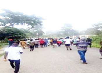 University of Ibadan Students Protest 10-Hour Electricity Rationing and Tuition Hike