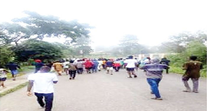 University of Ibadan Students Protest 10-Hour Electricity Rationing and Tuition Hike