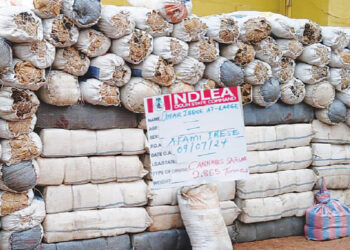 NDLEA Intercepts Cocaine and Opioids Concealed in Shoe Soles and Clothes in Lagos