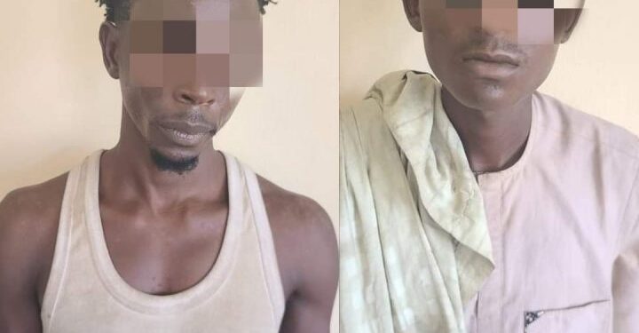 Two Arrested for Stealing Police Station Sign in Kano