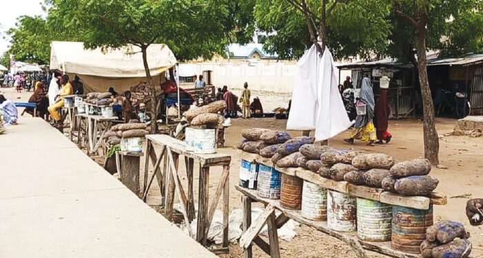 Katsina Traders Struggle with Low Patronage Amid Nationwide Protests