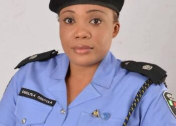 Robbery Incident at Former Ogun Lawmaker's Cattle Ranch