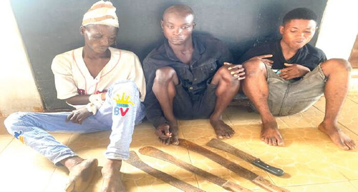 Ogun Notorious Armed Robbers Nabbed in Lagos