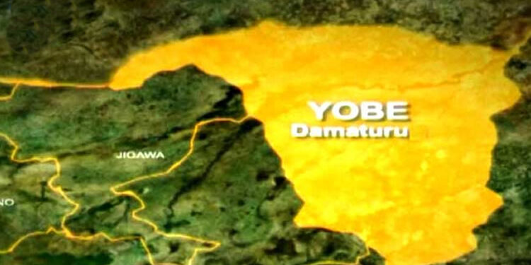 Attack in Yobe: Gunmen Strike Mafa Village, Leaving Destruction in Their Wake