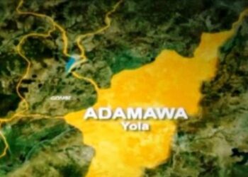 37-Year-Old Woman Arrested for Torturing Toddlers in Adamawa