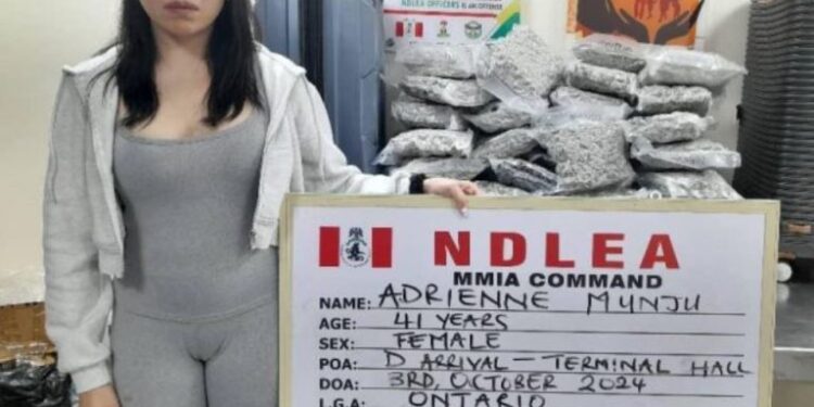Canadian Woman Sentenced to 11 Years for Smuggling 35.20kg of Cannabis into Nigeria