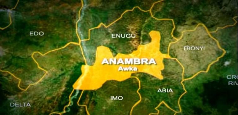 Nigeria:Anambra Community Leader Alleges Kidnapping Plot Over Refusal to Sell Land