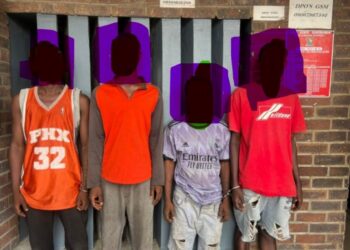 Police arrest murder suspect, foil robbery in Lagos