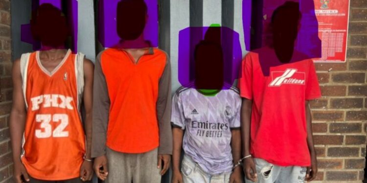 Police arrest murder suspect, foil robbery in Lagos