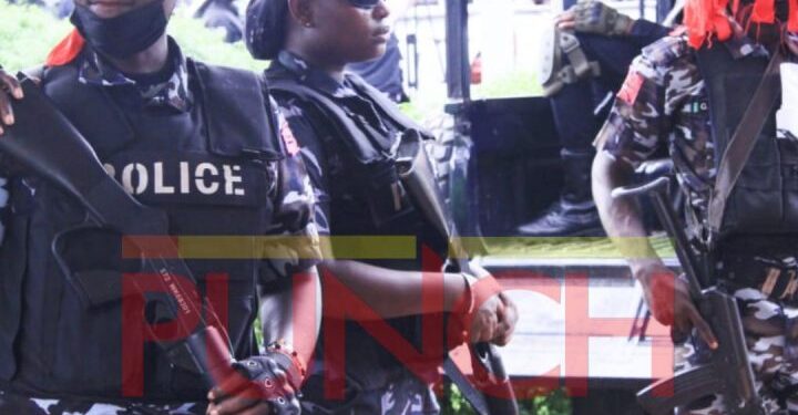 Police Arrest Suspect in Edo State After Recovering Burnt Corpse