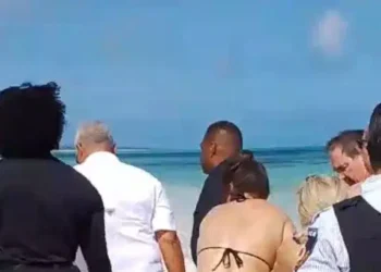 Tourist Loses Hands in Shark Attack While Trying to Take Photo