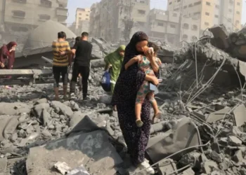 More than 50,000 Palestinians have been killed in Gaza since Israel's military campaign began,