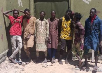 Seven Notorious Boko Haram Terrorists Surrender in Borno