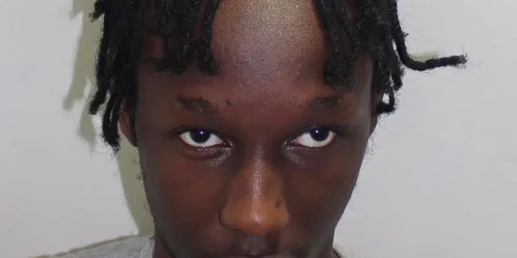 UK teen jailed for life for killing girl over teddy bear