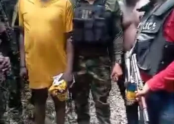 Two NDDC staff rescued in Bayelsa forest after three days in kidnappers’ den