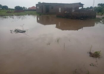 21 Killed, 10 Missing in Niger Flood Disaster