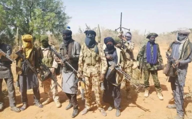 Soldiers, Bandits Killed in Kaduna, Niger Battles
