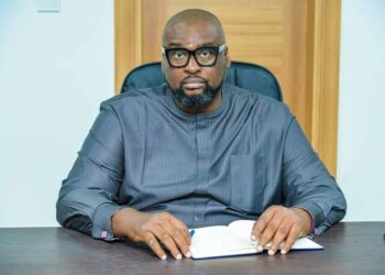 “Butterflies Do Not Become Birds” – A Lesson for Chris Nehikhare and His Band of Political Orphans