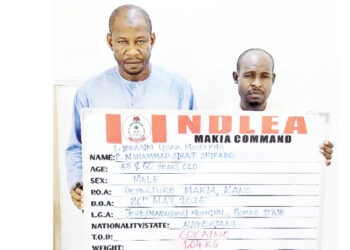 The National Drug Law Enforcement Agency (NDLEA) has made a significant breakthrough in the fight against drug trafficking in Nigeria