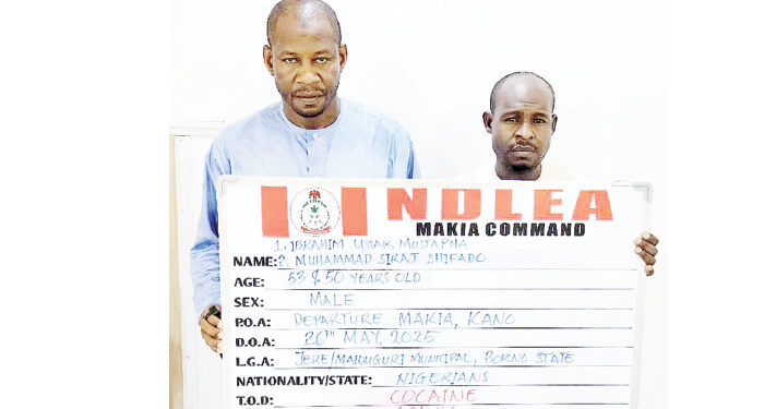 The National Drug Law Enforcement Agency (NDLEA) has made a significant breakthrough in the fight against drug trafficking in Nigeria