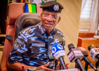 53 Suspects Arrested Over Benue, Plateau Killings - IG