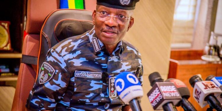 53 Suspects Arrested Over Benue, Plateau Killings - IG