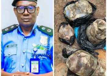 Police Arrest Woman Over Gruesome Murder, Dismemberment of Pregnant Nurse in Anambra