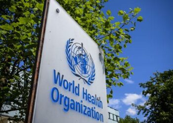 WHO Raises Global Alert Over Chikungunya Outbreaks as Virus Spreads Across Continents