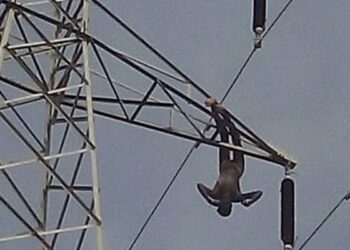 Suspected Vandal Electrocuted While Tampering With TCN Transmission Tower in Ebonyi