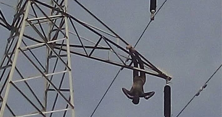 Suspected Vandal Electrocuted While Tampering With TCN Transmission Tower in Ebonyi