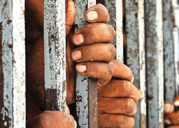 Two Men Sentenced to Six Months Imprisonment for Stealing Scaffolding Iron Poles*